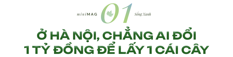 "Nếu bắt đầu ngay hôm nay, ít nhất 20 năm nữa, Việt Nam mới có thành phố xanh đúng nghĩa"- Ảnh 1.