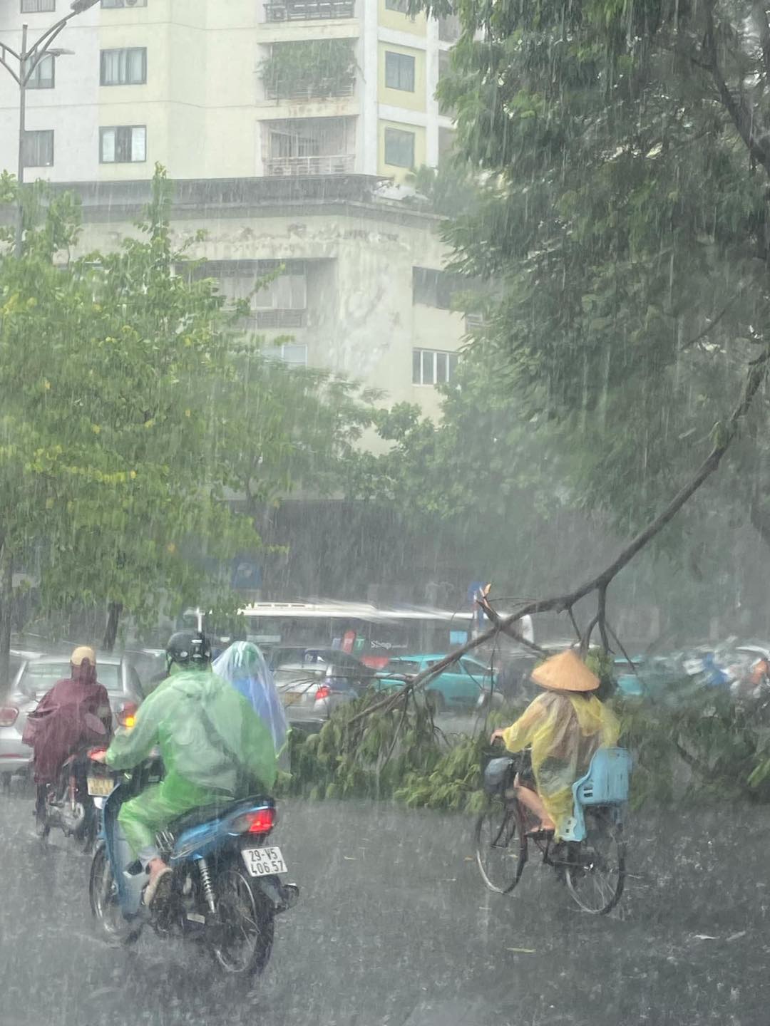 Hà Nội mưa to giữa trưa, gió giật như bão khiến cây đổ, gãy cành- Ảnh 1.