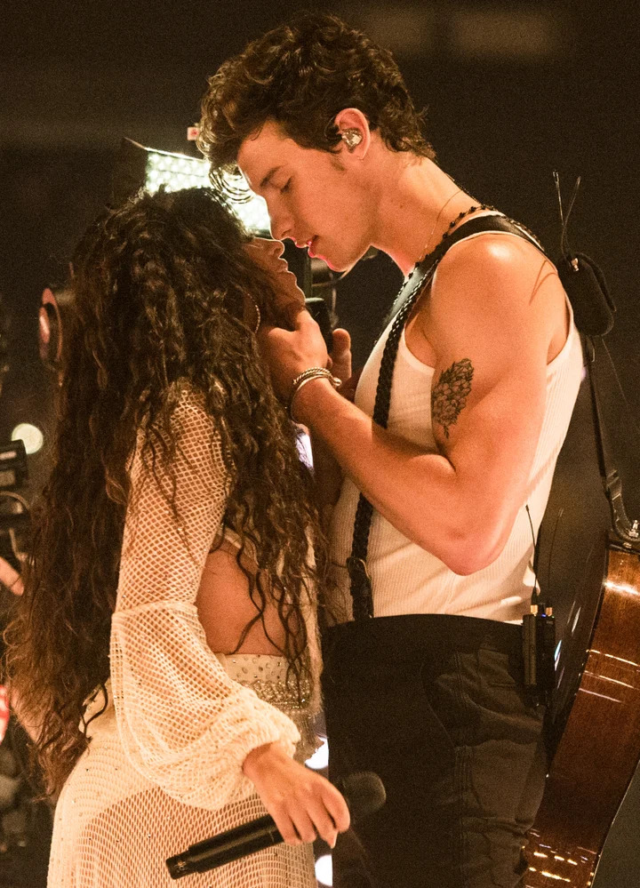 3 bài hát tóm tắt “thiên tình sử" của Camila Cabello - Shawn Mendes: Mặn nồng đến mấy cũng thành “tiểu tam”- Ảnh 3.