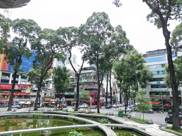 Gi&aacute; thu&ecirc; ngốn hết lời, nhiều h&atilde;ng vẫn 'đốt' tiền cho mặt bằng trung t&acirc;m TP.HCM- Ảnh 3.
