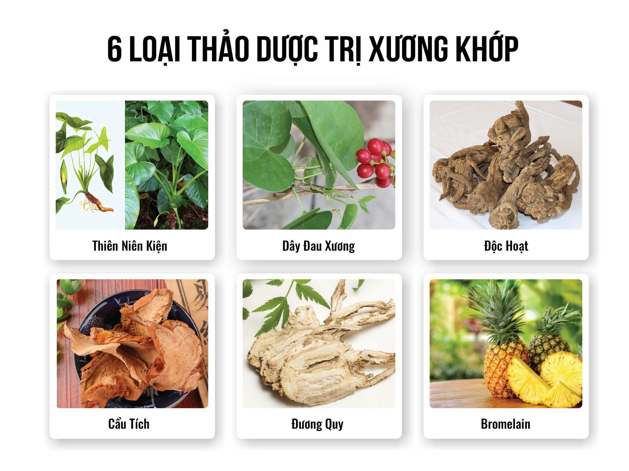 Hoạt khớp Extra: Bí quyết giữ gìn sức khỏe xương khớp toàn diện- Ảnh 3.