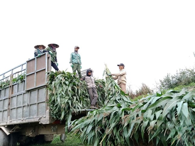 ‘Cụm trang trại tập trung công nghệ cao khép kín lớn nhất thế giới’ tiên phong thực thi ESG- Ảnh 4.