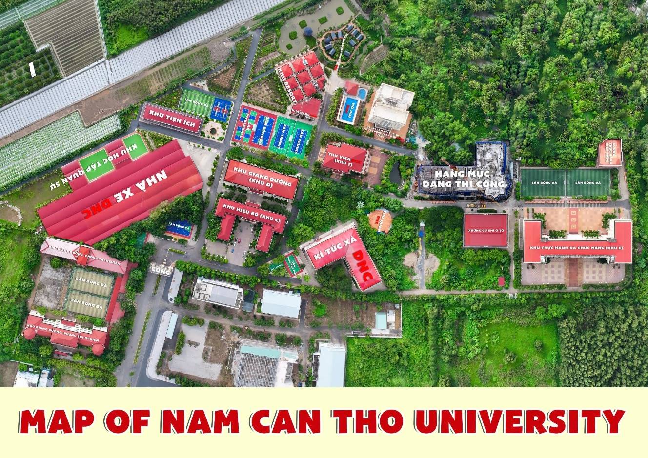 Đại học Nam Cần Thơ đồng hành cùng sinh viên, mở rộng tầm nhìn, hội nhập và phát triển- Ảnh 1.