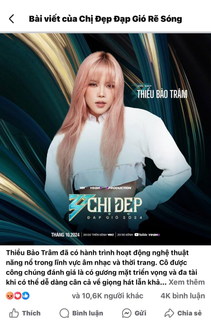 Thiều Bảo Trâm nhận "bão phẫn nộ" sau khi xác nhận tham gia "Chị Đẹp mùa 2"- Ảnh 2.