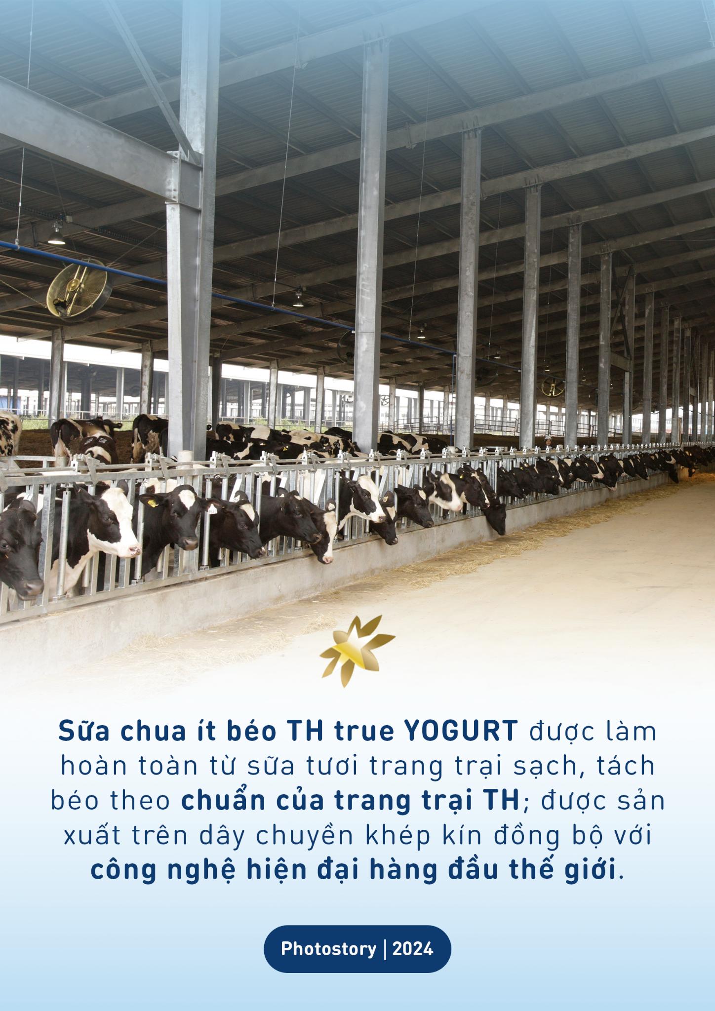 Làm mới thực đơn hàng ngày với các món ngon từ sữa chua ít béo- Ảnh 9.