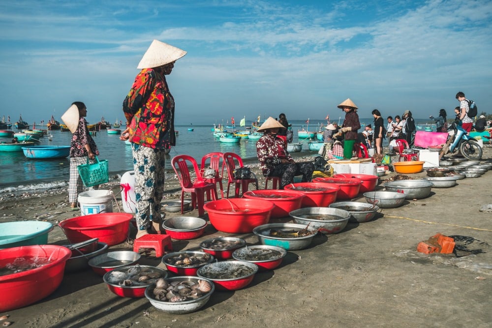 Đi Mũi Né đừng quên "săn" hải sản giá rẻ ở chợ làng chài: Tính tiền theo thau, "hời" hay không do tay khách chọn- Ảnh 1.