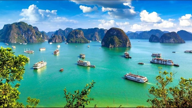 Đi thuyền trên vịnh Hạ Long, Lan Hạ là trải nghiệm thú vị nhất thế giới- Ảnh 1.