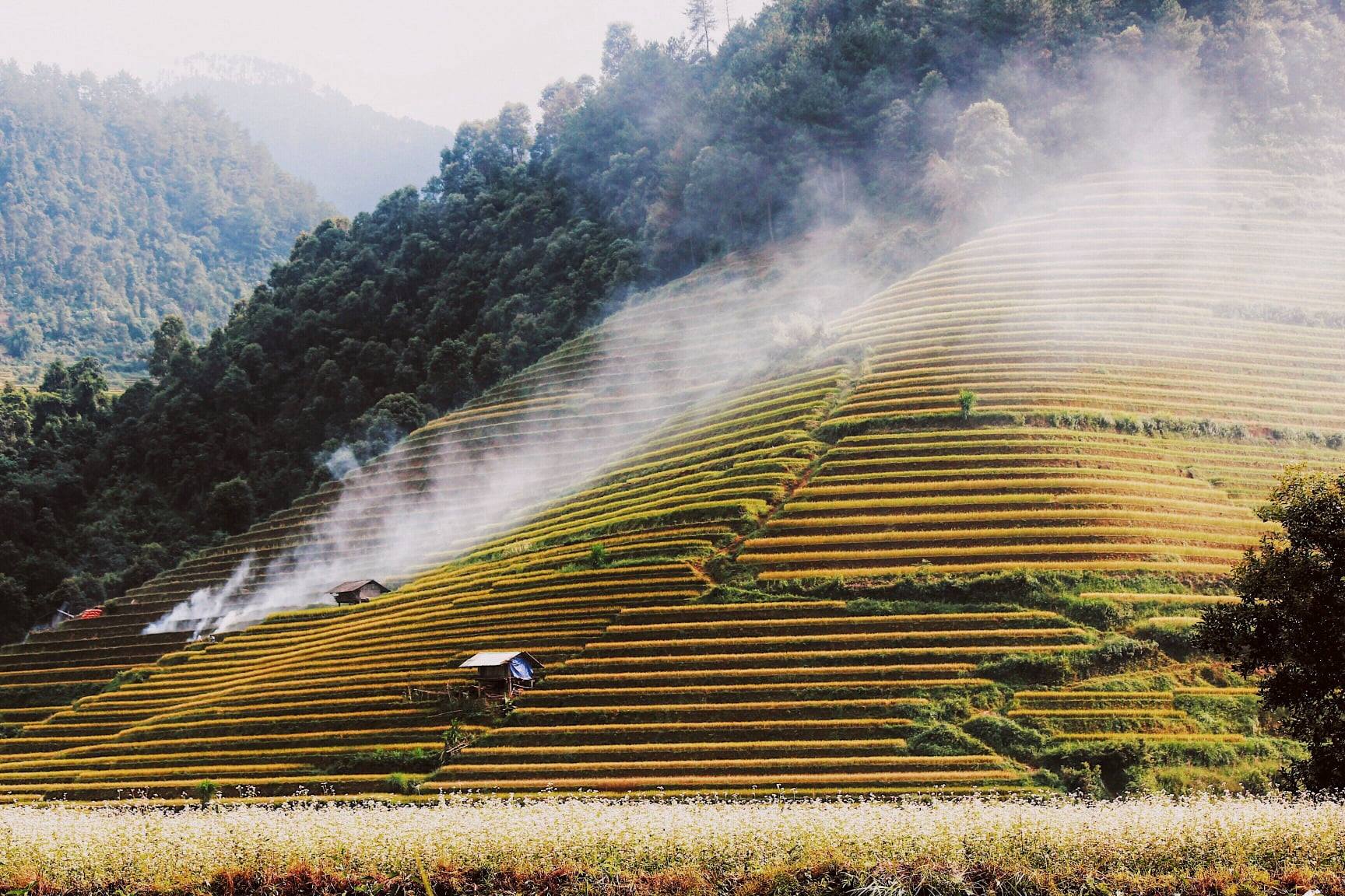 Huyện miền núi lọt danh sách "điểm đến có vẻ đẹp siêu thực", cách Hà Nội 300km, đường lên khó hơn Sa Pa- Ảnh 12.