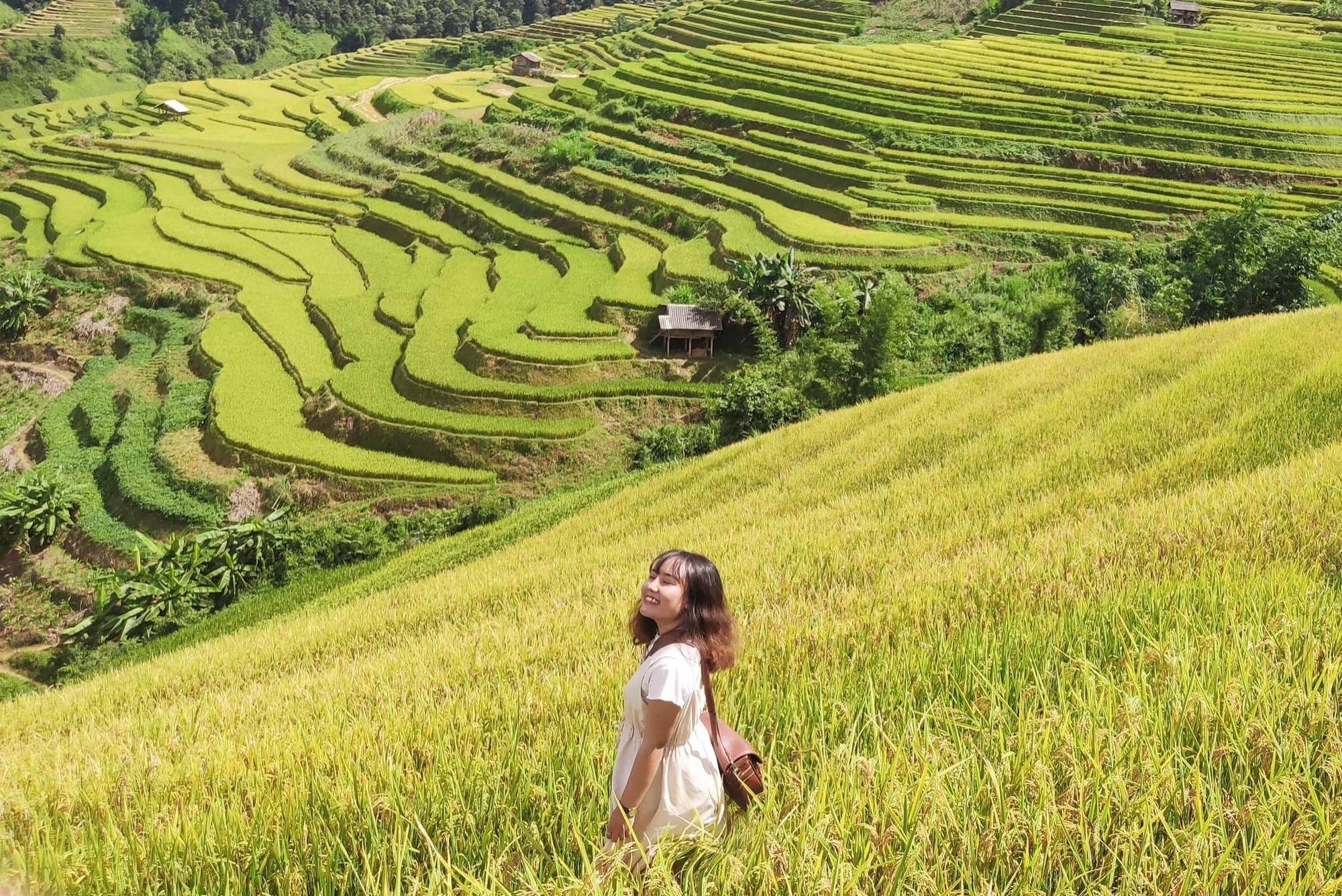 Huyện miền núi lọt danh sách "điểm đến có vẻ đẹp siêu thực", cách Hà Nội 300km, đường lên khó hơn Sa Pa- Ảnh 9.