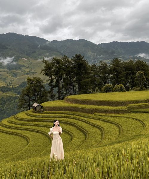 Huyện miền núi lọt danh sách "điểm đến có vẻ đẹp siêu thực", cách Hà Nội 300km, đường lên khó hơn Sa Pa- Ảnh 14.