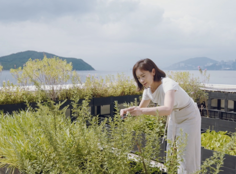 Nữ luật sư bỏ việc ở tuổi 30 để làm đầu bếp, dành 12 tiếng nấu ăn mỗi ngày: "Làm việc mình thích, bạn sẽ không bao giờ cảm thấy kiệt sức"- Ảnh 5.