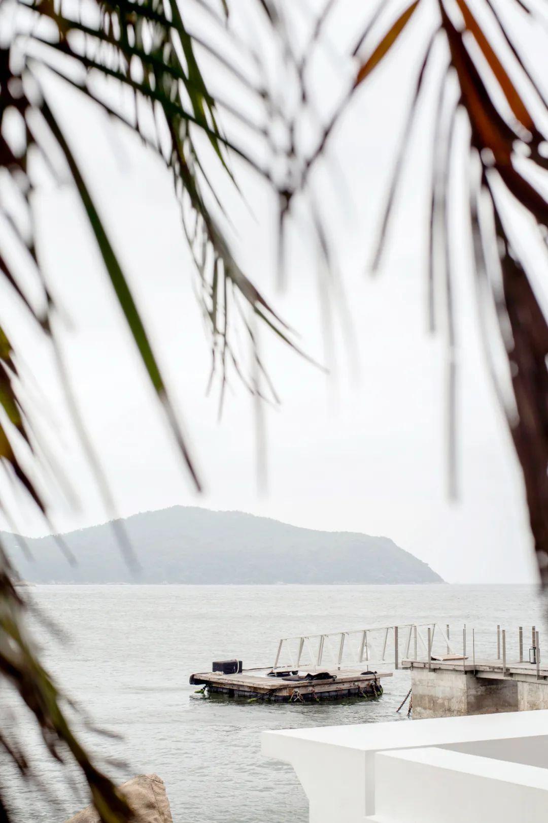 Nữ luật sư bỏ việc ở tuổi 30 để làm đầu bếp, dành 12 tiếng nấu ăn mỗi ngày: "Làm việc mình thích, bạn sẽ không bao giờ cảm thấy kiệt sức"- Ảnh 20.