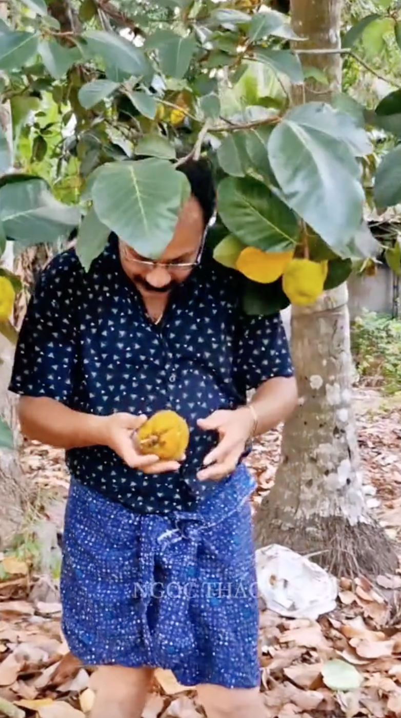 Loại m&iacute;t "ngon nhất thế giới" tại Việt Nam: Đắt gấp 5 lần m&iacute;t Th&aacute;i, quả nhỏ x&iacute;u nhưng nhiều người quyết mua bằng được- Ảnh 4.