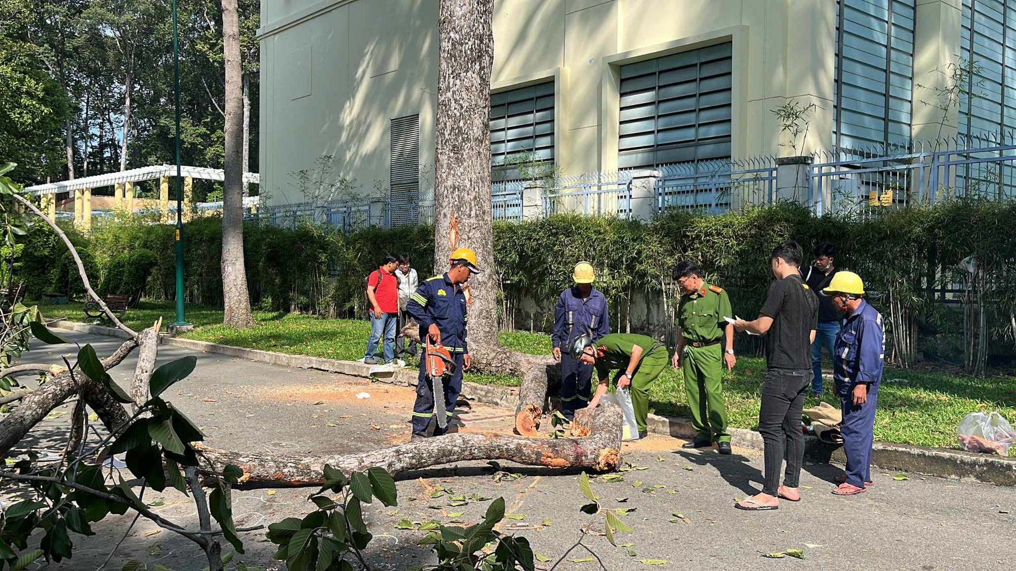 Người dân ám ảnh khi thấy 5 người bị cây rơi trúng tại công viên Tao Đàn: “Tay chân tôi vẫn còn run”- Ảnh 5.