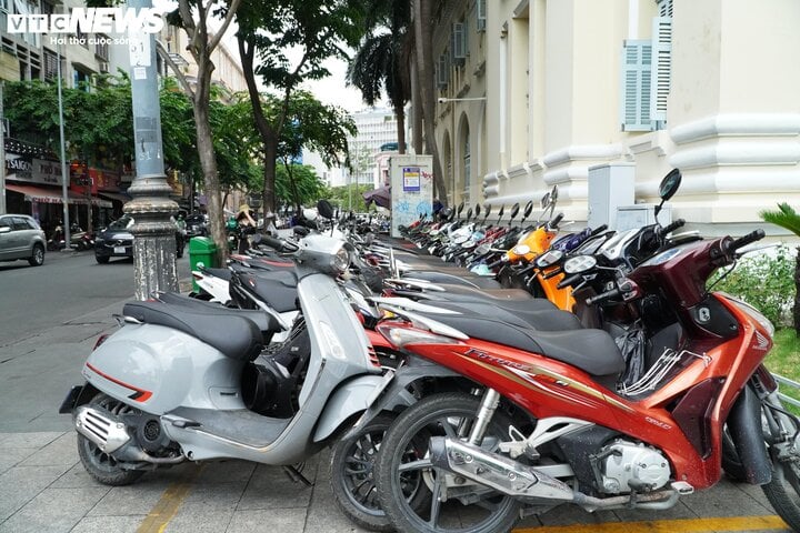 Quận trung t&acirc;m TP.HCM thu hơn 600 triệu đồng sau 3 th&aacute;ng cho thu&ecirc; vỉa h&egrave;- Ảnh 1.