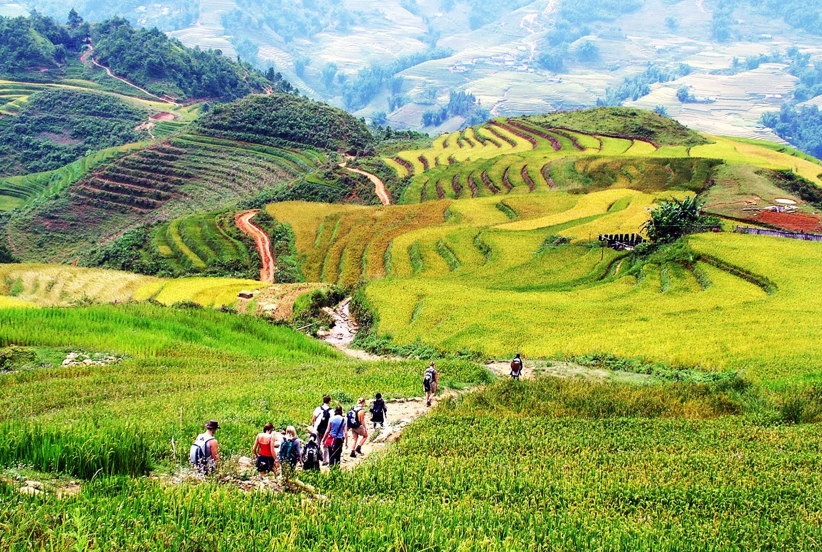 Nơi được ví như viên ngọc ẩn ở Sa Pa, du khách trầm trồ vì cảnh như tranh vẽ, cách trung tâm chỉ hơn 10km- Ảnh 6.