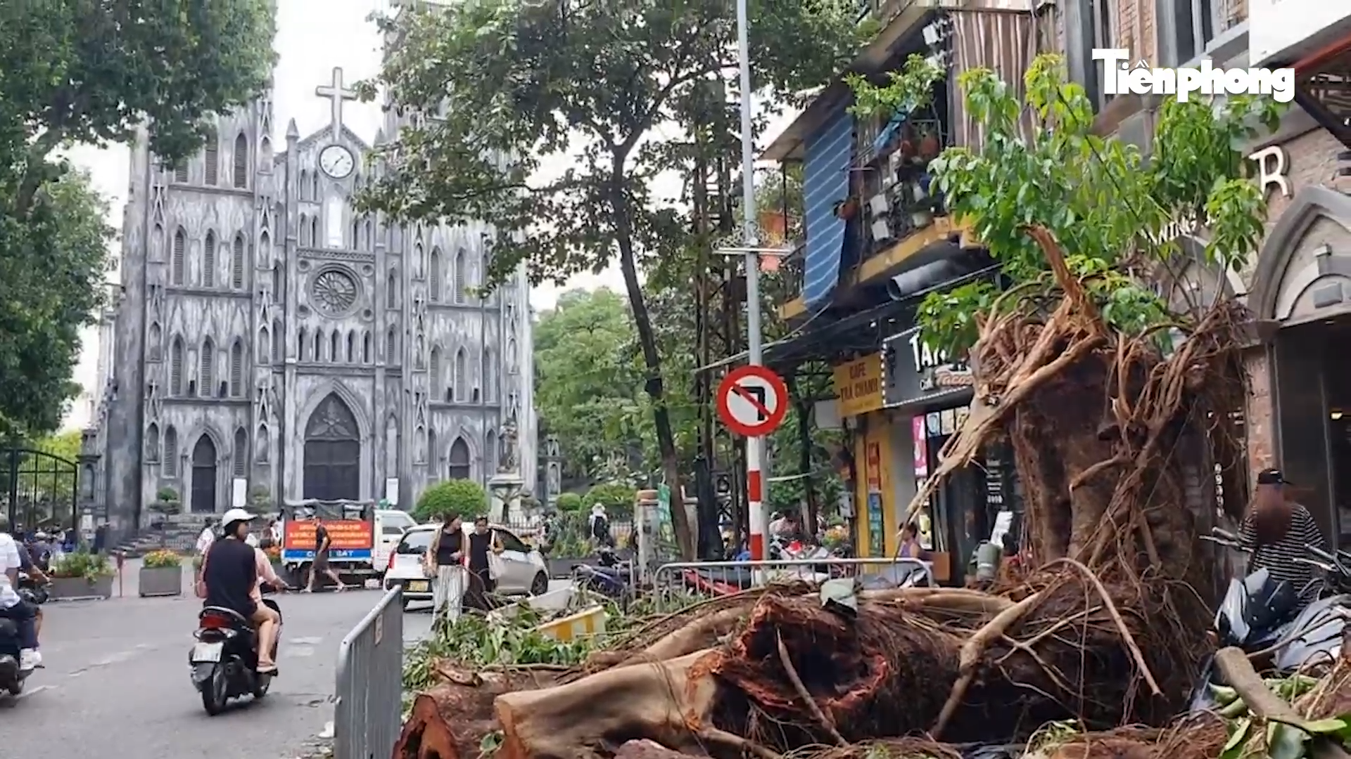 Ngựa 'chạy' tán loạn, biểu tượng tình yêu vụn vỡ do bão số 3- Ảnh 1.