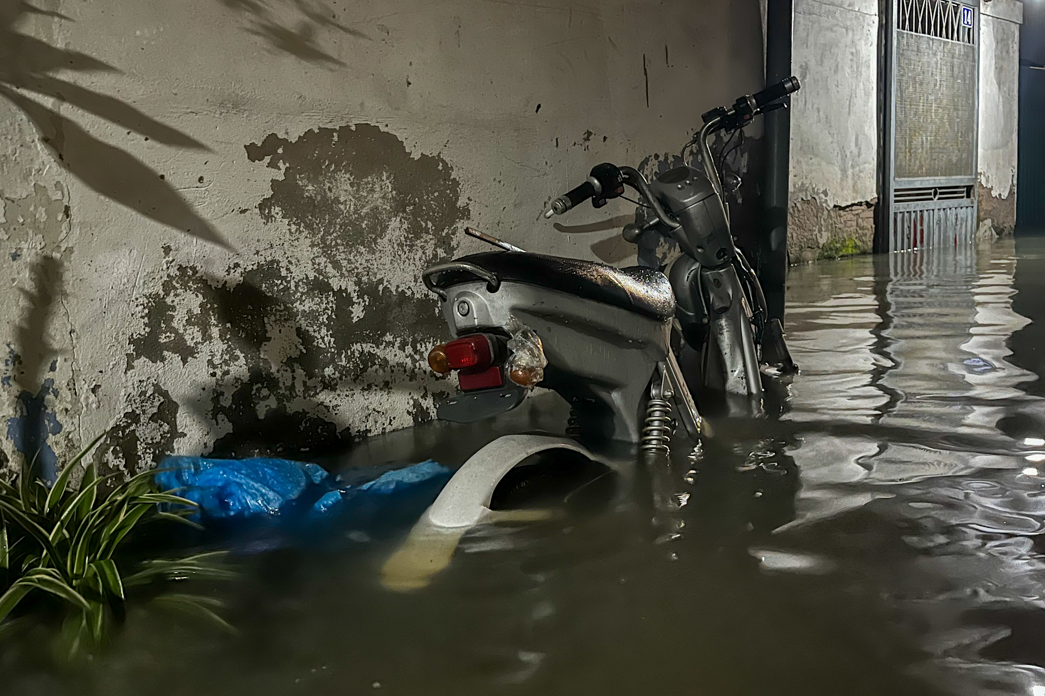 Hà Nội: Nước sông Hồng dâng cao, người dân Tứ Liên chật vật sống trong cảnh ngập lụt- Ảnh 5.