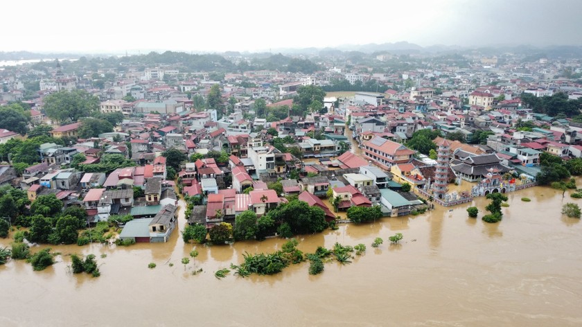 Giáo sư 76 tuổi dồn lương hưu, tiền đi dạy, viết sách hàng chục năm, mang sổ tiết kiệm 1 tỉ đồng ủng hộ đồng bào lũ lụt- Ảnh 3.