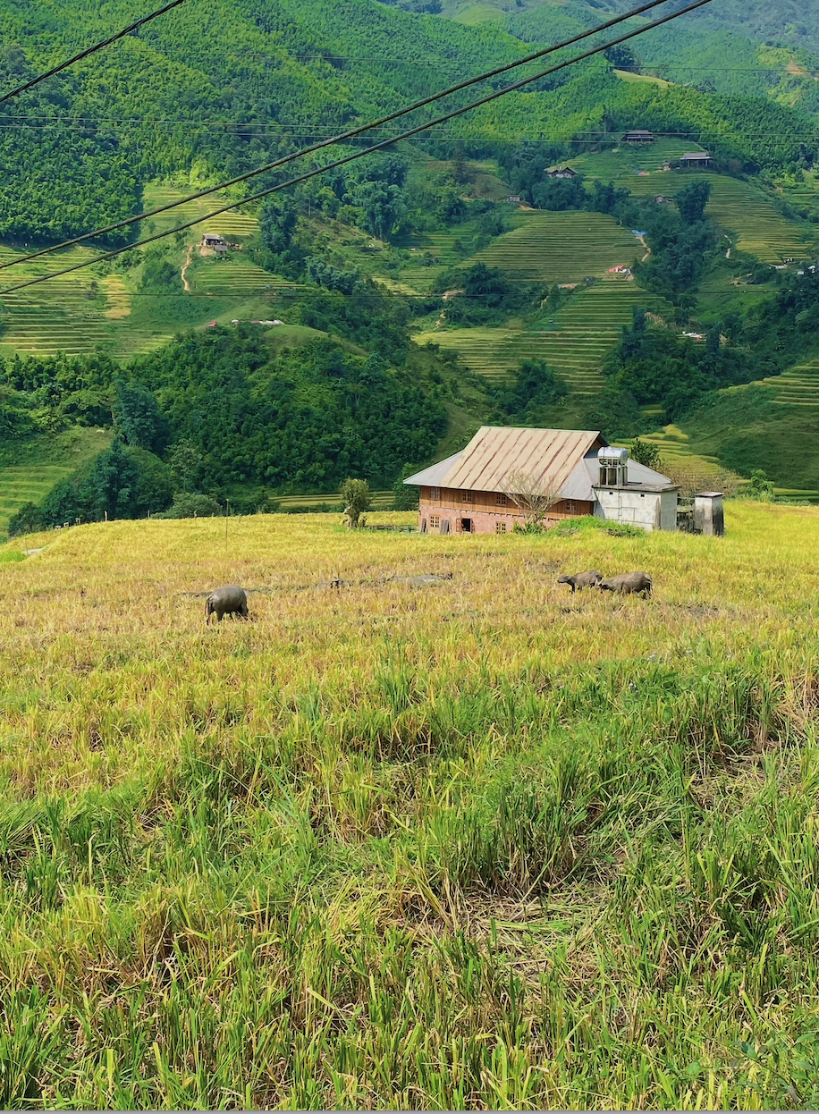 "Nước từ thác đổ ào ào xuống chỗ ở" - trải nghiệm đáng sợ của du khách kẹt giữa vùng núi sạt lở, bão lũ- Ảnh 6.