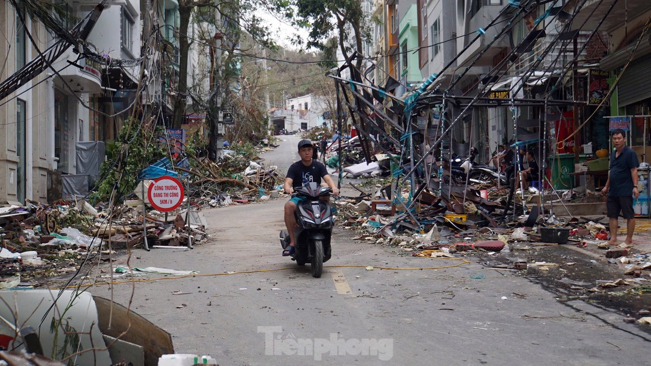 Cảnh tượng khủng khiếp ở đảo du lịch Cát Bà- Ảnh 10.