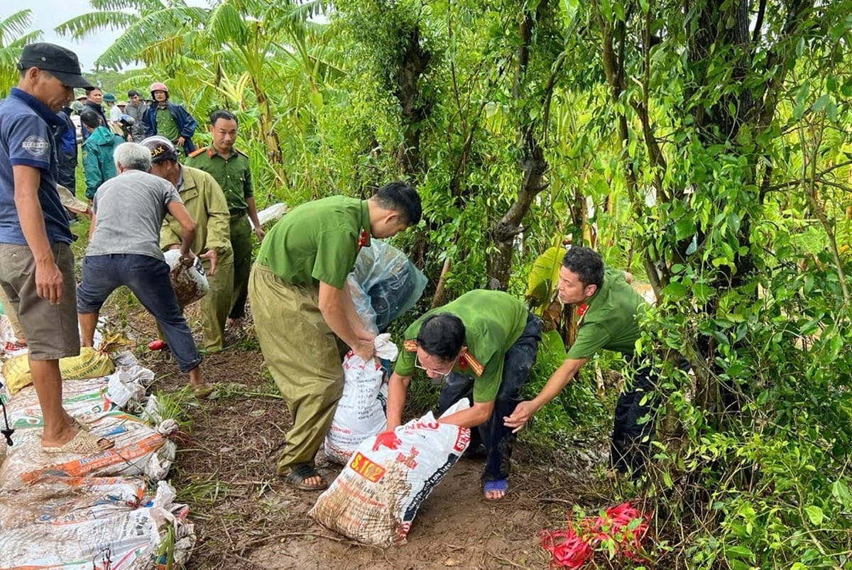 Nước lũ tràn đê bối, Nam Định di dời gần 500 hộ dân- Ảnh 2.