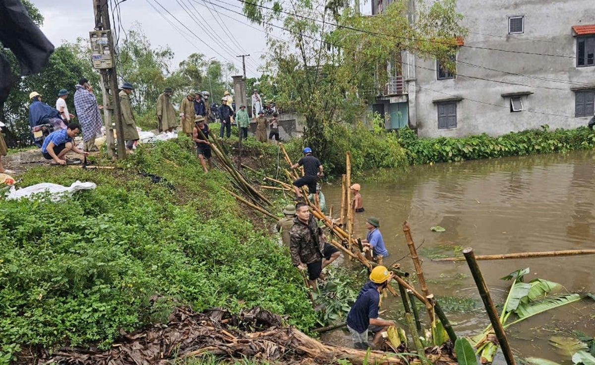 Nước lũ tràn đê bối, Nam Định di dời gần 500 hộ dân- Ảnh 3.