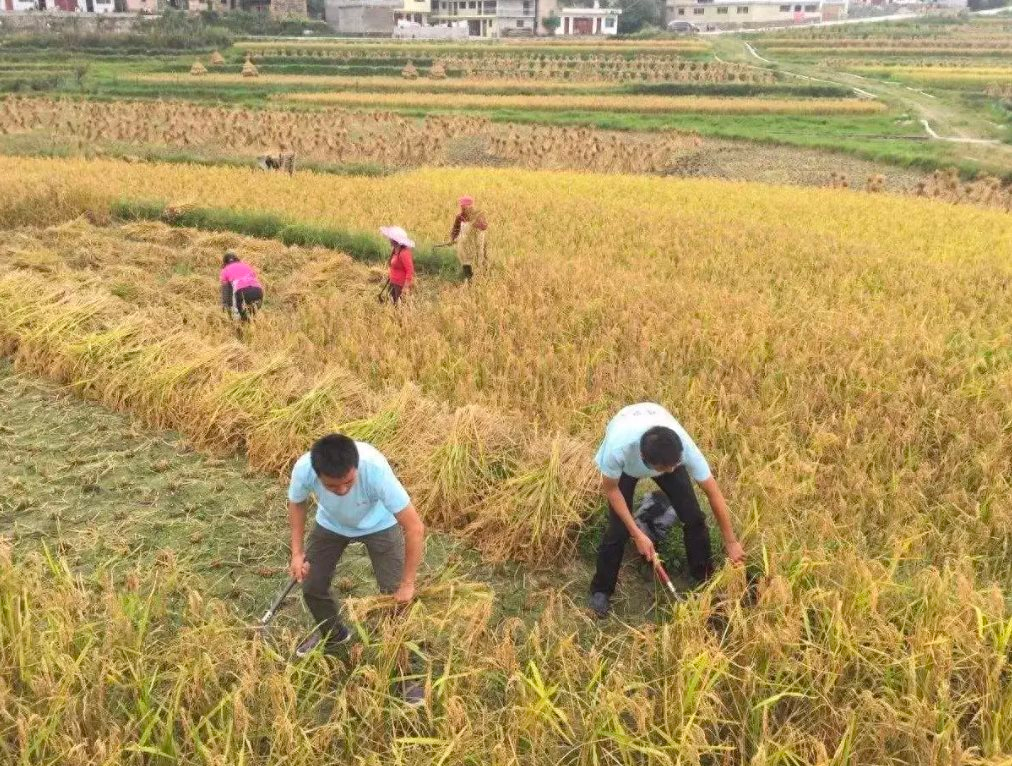 Cho cháu vay 10 triệu tiền đi học, 23 năm sau tôi nhận về một căn nhà mới, cuộc sống giàu sang bắt đầu từ đây: Khi cho vay, quan trọng nhất là ĐÚNG VIỆC, ĐÚNG NGƯỜI- Ảnh 1.