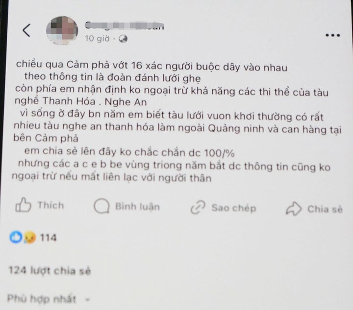 Quảng Ninh bác thông tin vớt được 16 thi thể buộc dây vào nhau- Ảnh 2.