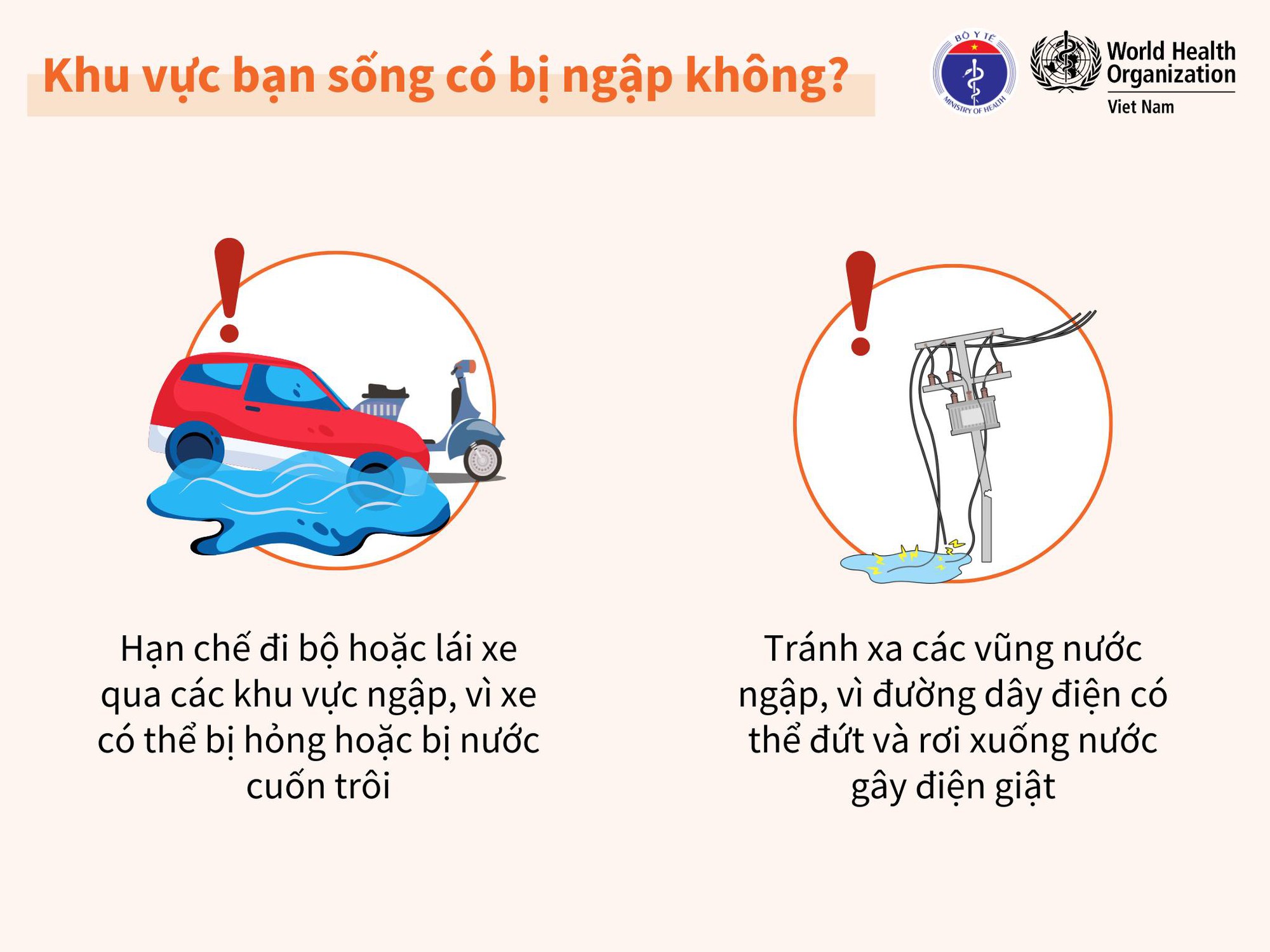 Bộ Y tế khuyến cáo: Người dân vùng bão lũ không sử dụng gia súc, gia cầm chết làm thức ăn hoặc chế biến thực phẩm- Ảnh 2.