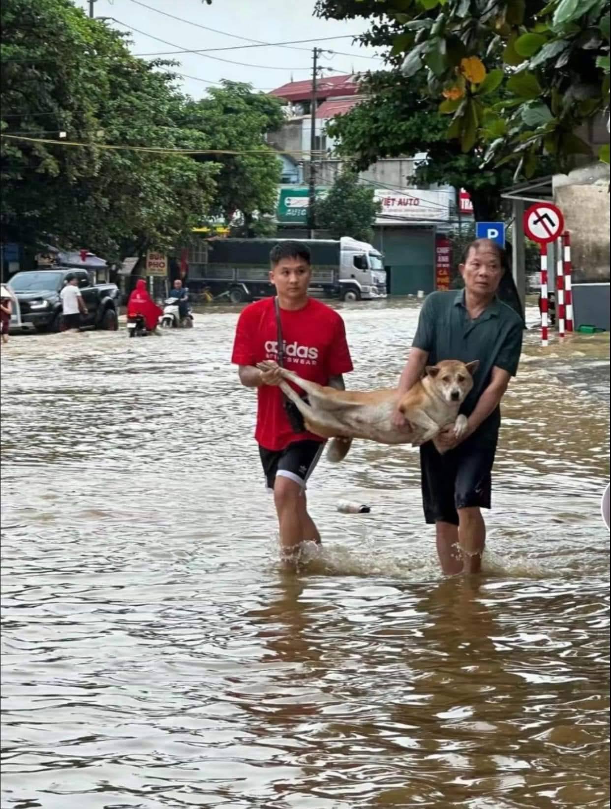 Những pha giải cứu các 