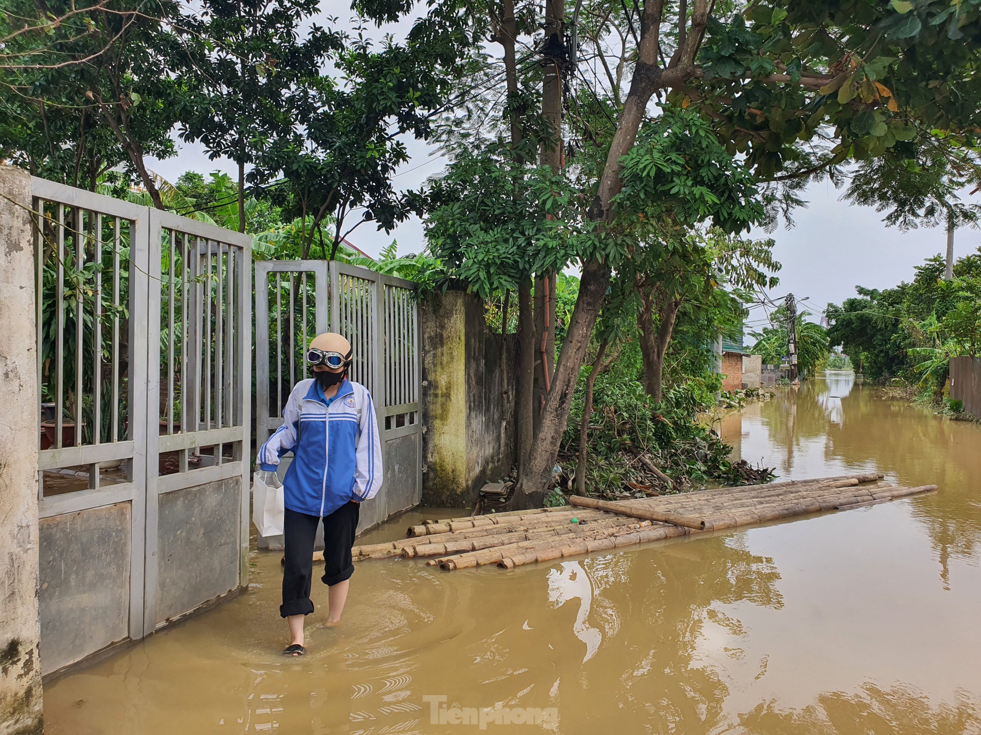 Người dân ven sông Hồng đếm từng giây chờ lũ rút để được về nhà- Ảnh 21.