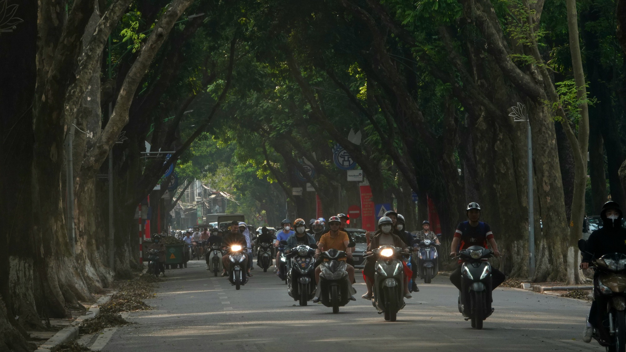 Hà Nội căng mình dọn dẹp cây xanh gãy đổ, nhanh chóng trả lại thành phố "xinh đẹp" sau bão số 3- Ảnh 17.