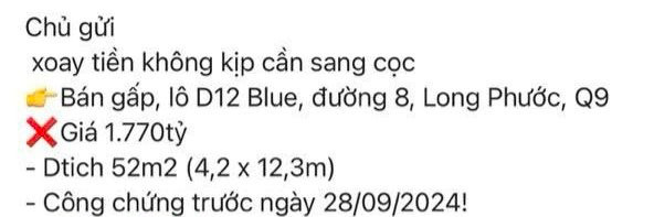 Hụt hơi vì ôm hàng lướt sóng, nhà đầu tư kêu cứu: “Xoay tiền không kịp, cần sang cọc”- Ảnh 1.