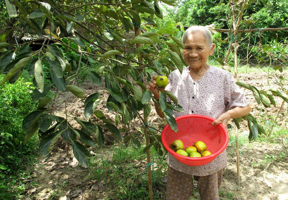 Loại quả "trong đỏ vỏ xanh" được giới sành ăn săn lùng, mỗi năm có duy nhất 1 mùa, nghe giá mới bất ngờ- Ảnh 8.