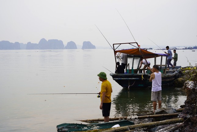 Nghề 'hot' sau bão ở Hạ Long, ngồi chơi cũng kiếm tiền triệu- Ảnh 6.