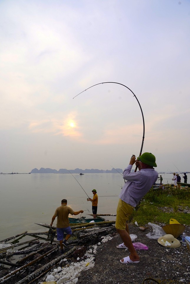 Nghề 'hot' sau bão ở Hạ Long, ngồi chơi cũng kiếm tiền triệu- Ảnh 4.