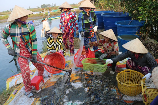 Có cánh đồng mênh mông, kênh rạch chằng chịt, 1 tỉnh muốn dẫn đầu trong lĩnh vực VN xuất khẩu top 3 thế giới- Ảnh 2.