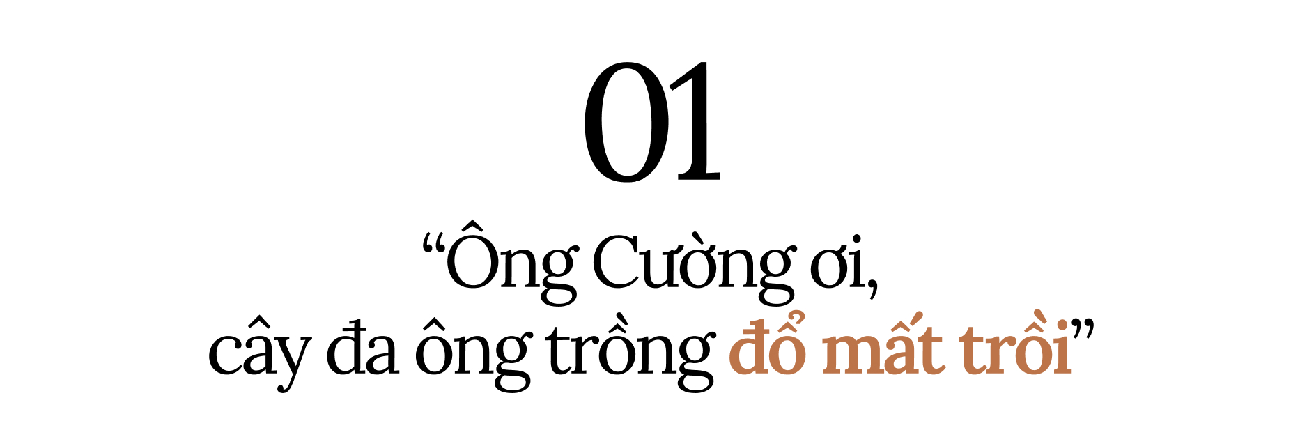 Chuyện tình của cụ ông 84 tuổi và người vợ đẹp nhất phố Phùng Hưng nổi tiếng sau vụ cây đa cổ thụ bật gốc- Ảnh 2.