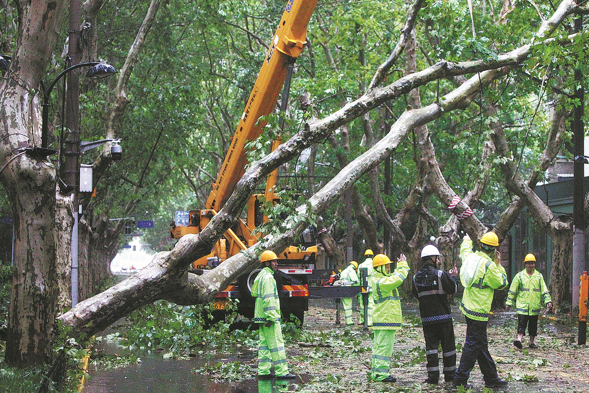 Trung Quốc khắc phục hậu quả siêu bão Bebinca tại Thượng Hải- Ảnh 1.