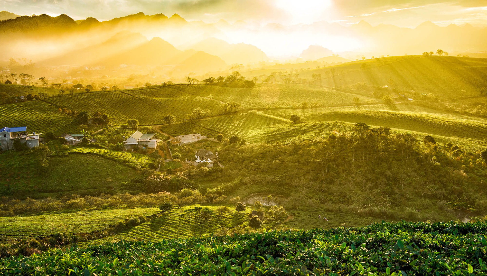 Địa phương Việt Nam từng được vinh danh "hàng đầu thế giới", được ví như viên ngọc xanh, mùa nào cũng đẹp- Ảnh 1.