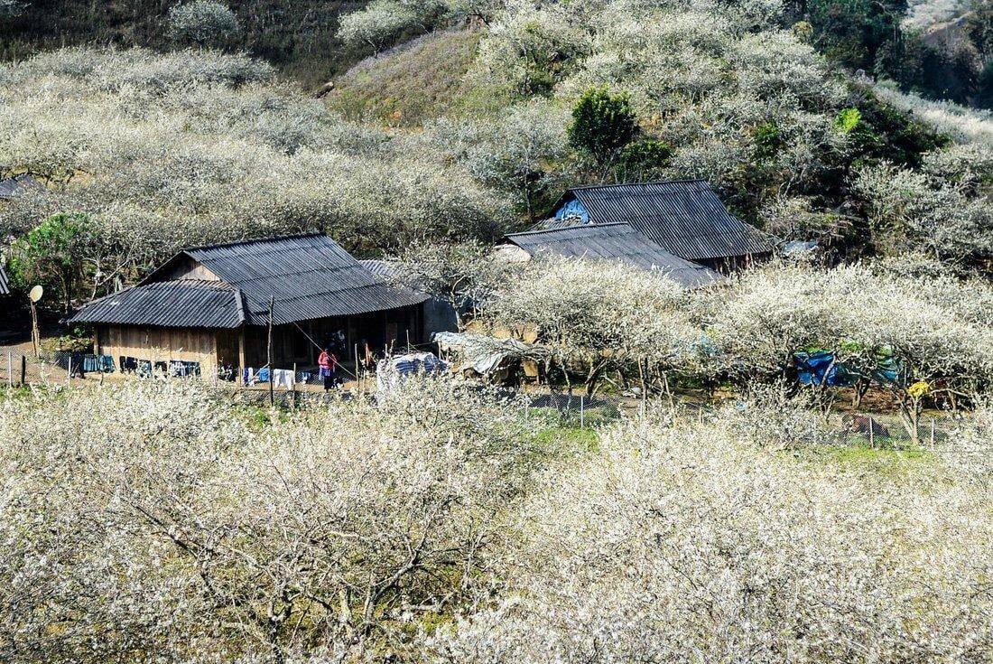 Địa phương Việt Nam từng được vinh danh "hàng đầu thế giới", được ví như viên ngọc xanh, mùa nào cũng đẹp- Ảnh 11.