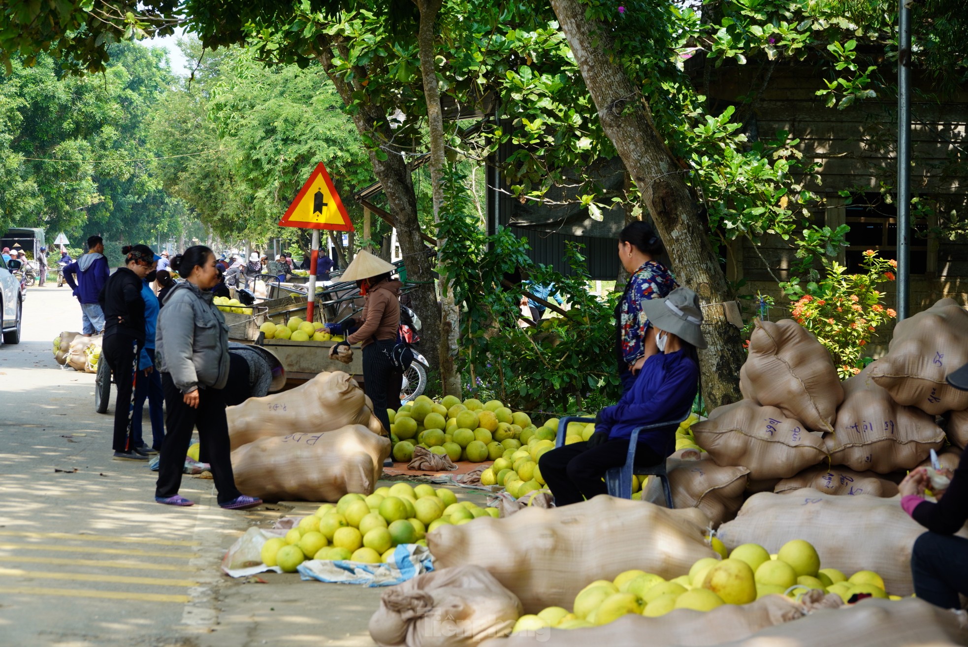 Độc đáo phiên chợ 'đệ nhất danh quả' nức tiếng Hà Tĩnh- Ảnh 3.