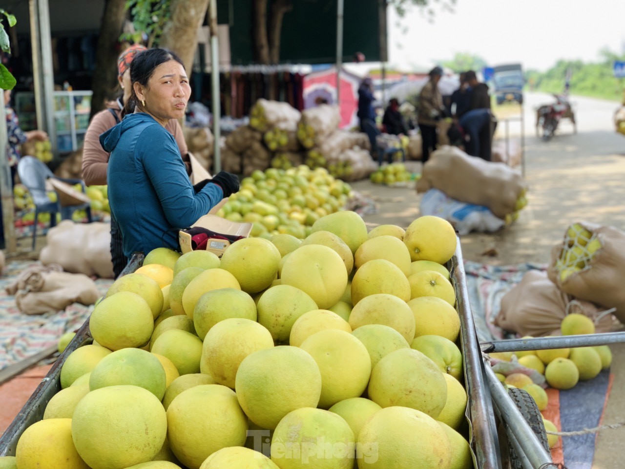 Độc đáo phiên chợ 'đệ nhất danh quả' nức tiếng Hà Tĩnh- Ảnh 1.