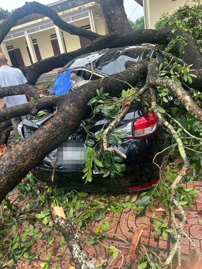 Mưa to, gãy cành xà cừ đè trúng 1 giáo viên, 4 ô tô bẹp dúm ở Thanh Hóa- Ảnh 1.