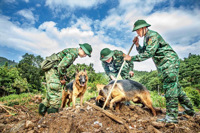 Vào Làng Nủ, gặp chú chó từng đi cứu hộ quốc tế- Ảnh 2.