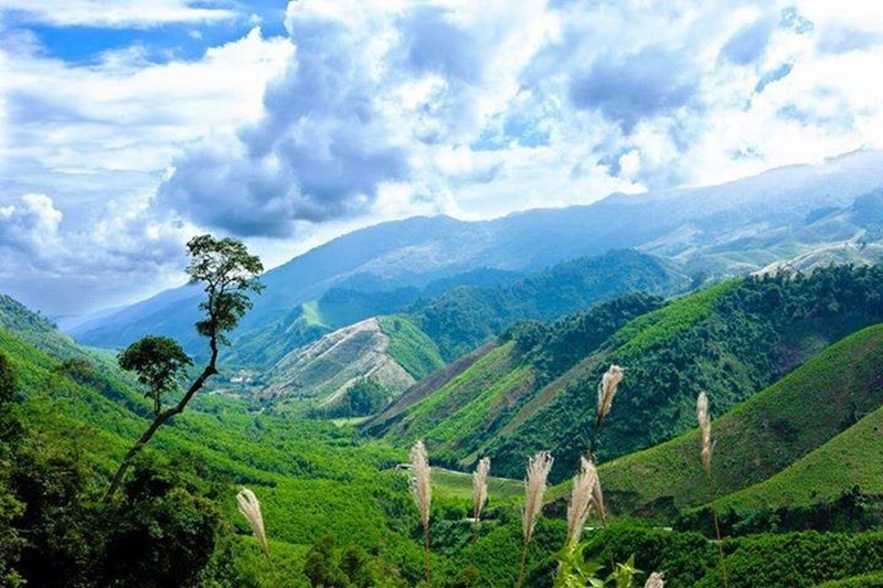 Nơi được ví như "Đà Lạt thu nhỏ", cách thành phố Huế khoảng 70km, nhiều người bất ngờ vì chưa hề nghe tên- Ảnh 3.