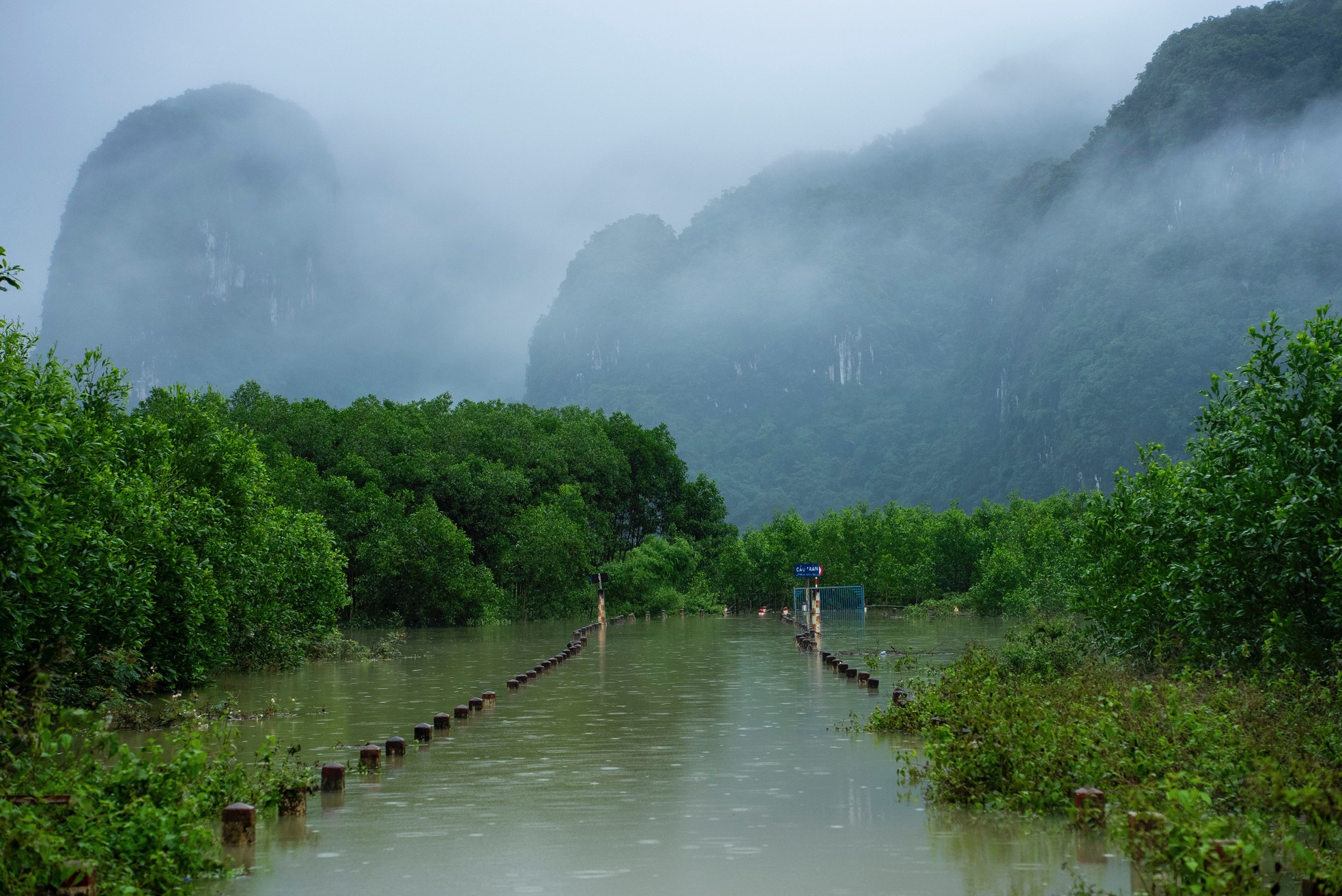 Ngắm 'làng du lịch tốt nhất thế giới' đẹp như tranh trong nước lũ- Ảnh 10.