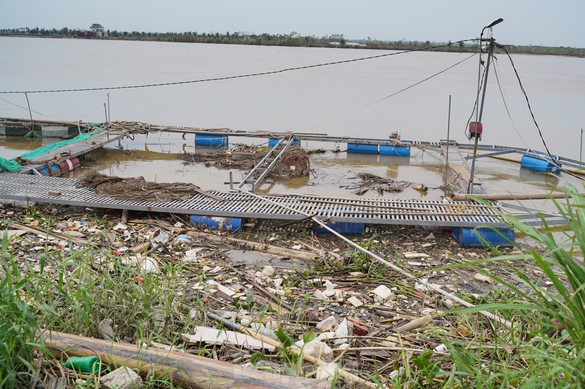 Tan hoang bên dòng sông Luộc: Bão số 3 cuốn bay 'bao nhiêu hi vọng, ước mơ làm giàu'- Ảnh 10.