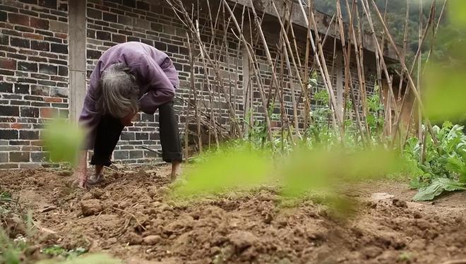 Mẹ già 7 năm ròng chắt chiu từng đồng trả món nợ hơn 10 triệu đồng thay con trai đã khuất khiến giám đốc ngân hàng cũng phải rơi lệ- Ảnh 6.